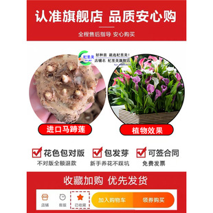 ��ɫ�R��ɏ�N�����������ѿ�׳ɻ��ļ��_���̨ͥԺ���Դ���