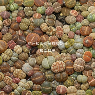 ��ʯ���ײ�����  ���F؛ ���ԃr�� �ɫƷ�N��ƨƨ���ⷬ��ʯ����