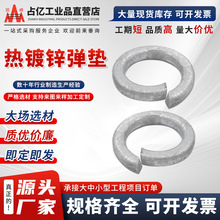 \|Ȧɉ|Ȧԉ|Ƭ\_ډ|Ȧ|