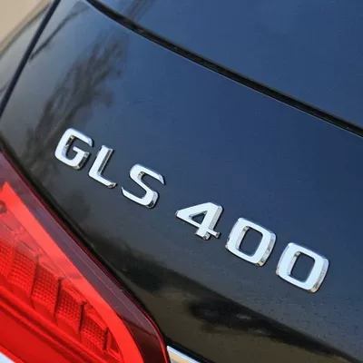 Car logo – rear emblem