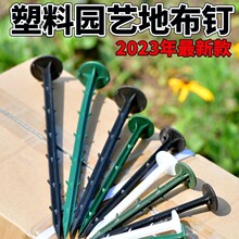 ������ᔳ������������֦��Ĥ�̶�Ƥu�Ͷ����̈@ˇ�ز��