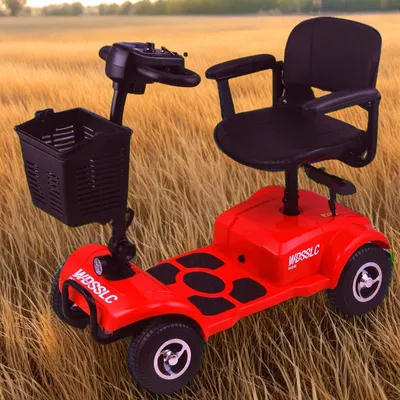 Aged 60 to 70, Household Use — Qatlanan elektrik velosipedlər