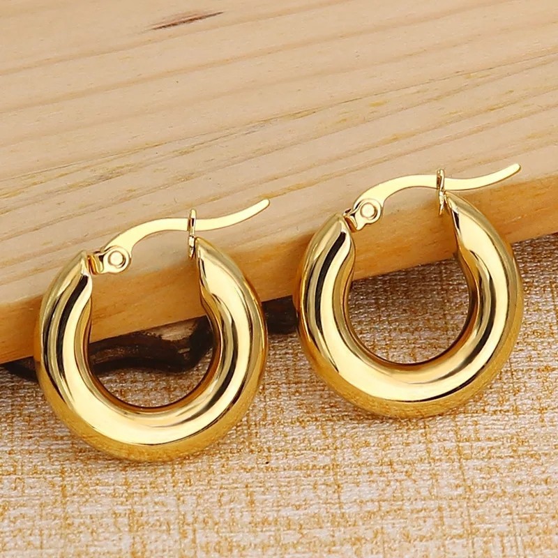 1 Pair Simple Style Solid Color Plating Stainless Steel Earrings display picture 5