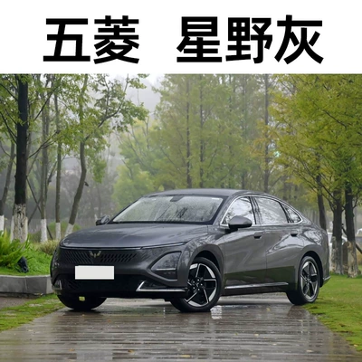 15. Wuling Auto Paint Pen — Avtomobil boya qələmləri - take-one-shot-and-two-color-paint-1-and-brightening-polish-1-and-then-send-a-tool-kit-sandpaper-cleaning-cotton-pen-tip-hoshino-gray