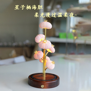 ��đСҹ�����Ǻ�đ��͹�Сҹ����đ���Y�����M���ֺ�đ�����