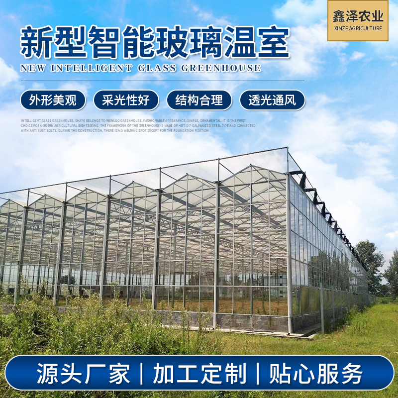 多肉温室 玻璃温室 蔬菜温室大棚 玻璃大棚 智能玻璃温室厂家