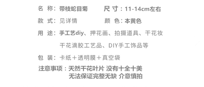 带枝蛇目菊.png