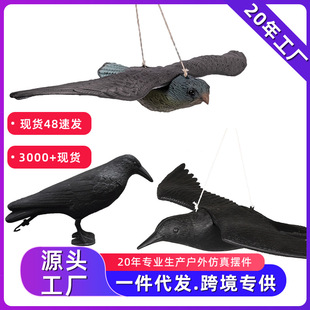 ֧�ֿ羳�N�˷�����f�w�B�w�����b�ˇƷ�@�ִ�C�}�Q��