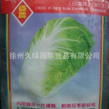 �����M���͟�ײ˷N��-��۲��d�����r�ƃ��|�ײ�-���303��