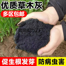 ���ڼ�ľ�ҷ����r���ЙC�ʵ���̼�I�B���N���߻��ܷ��x�׷�����