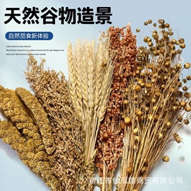 仿真果蔬;干花;仿真绿植