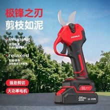 ������������늼���������֦�@���޼����ߑ���o����y늼�