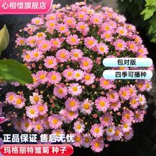 欔طNrշNͺ·N̨҃ͥԺN