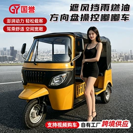 三轮车;电动三轮车