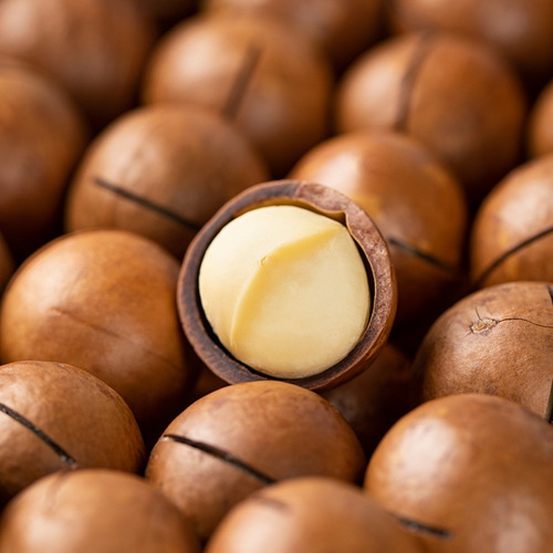 2024 New Arrival Macadamia Nut Creamy Nut Whole Box 10 Packs Summer Fruit Wholesale Bulk Weighed Roasted Seeds Snacks