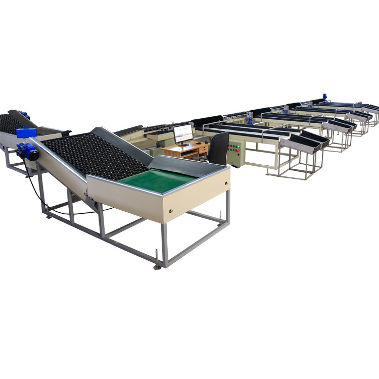 厂家批发FGX-DZ型电子选果机  水果分选系列设备水果等级等级