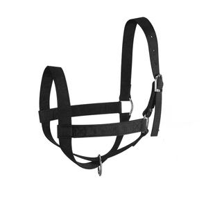 �R�g��Ʒ���{��ţ�R�\��ţ�R�������K���b�Ӵ�ߴ�ţ�R�\�^