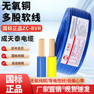 ����̩��|��ZC-BVR���˟o���~1.5/2.5/6/10���ù�����ȼ���ܛ��