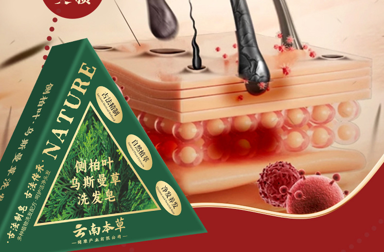 Polygonum Multiflorum Shampoo Soap with Processed Platycladus Arborvitae Leaves and Black Ganoderma Lucidum, Water-Cooled Soap, Handmade Soap, Fragrant Soap, Oil-Removing Shampoo,