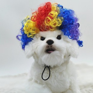 Pet Wig for Cats and Dogs, Universal Cross-Border Pet Wig, Funny and Super Cute, Afro Holiday Accessories, Explosive Curly Hair