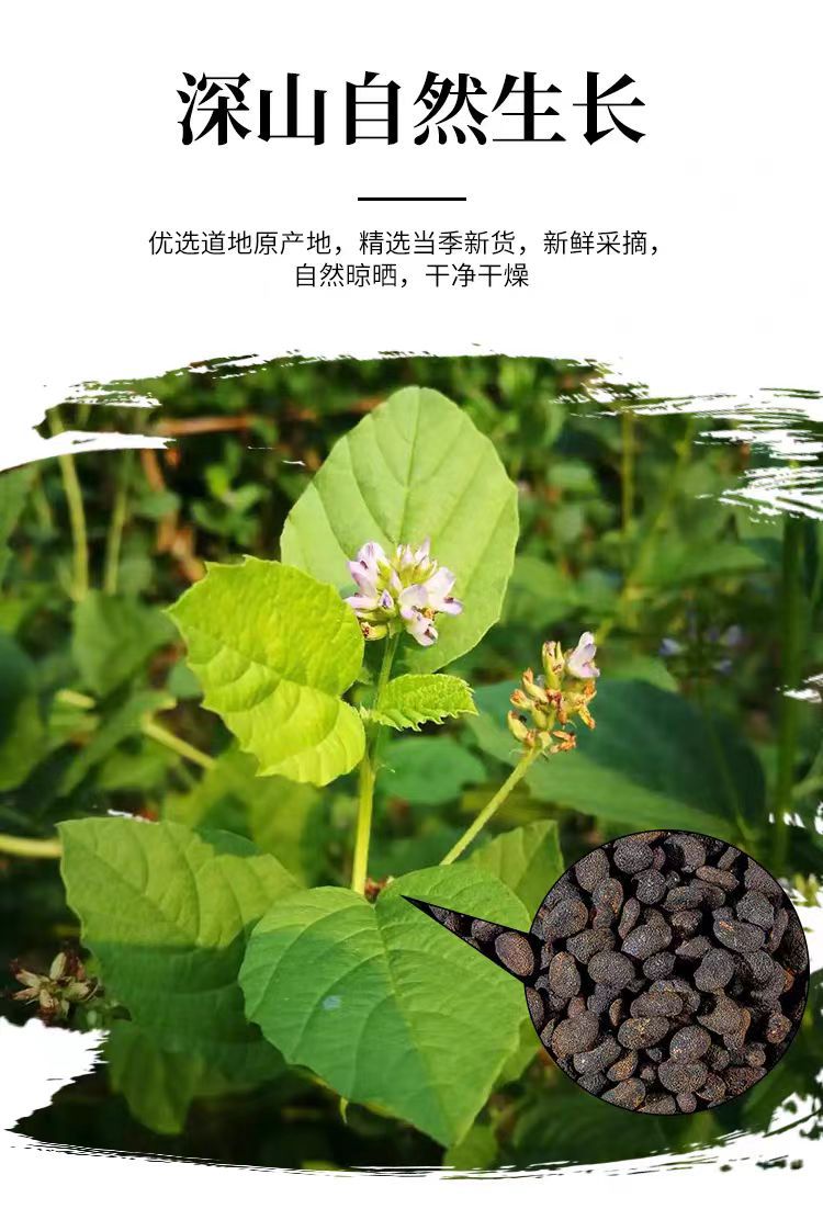 Bu Gu Zhi (Psoralea corylifolia) — Salt-Processed Food Herb, 500g overview