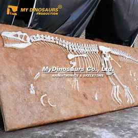 仿真骨架异特龙化石板摆件 恐龙骨骼模型橱窗家居工艺品摆设