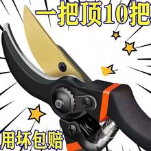 德国进口SK5强力园艺剪不锈钢省力修剪枝果树粗枝树枝专用剪子