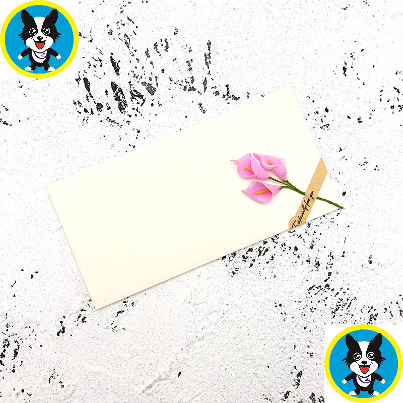 智贝SKU图_10信封信纸套装干花文艺小清新创意diy牛皮