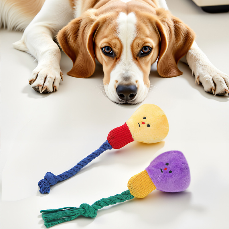 Durable Squeaky Dog Toy Plush Cotton Rope Teddy Bear Bichon Frise Small Breeds Self Entertaining Relaxing Chewing Teething Pet Toy_voghion.com