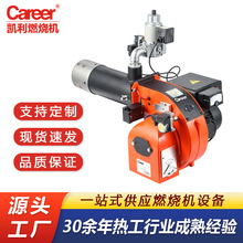 LtȼȼC 30fҺȻȼClȼ