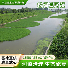 ���lˮ��ֲ�������~���β�����Ӳ�������G�ո��Nˮ��ֲ�����