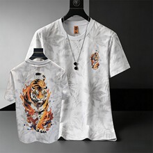 2026��ӡ˧��������ʿ����Բ��T�����аٴ�ʱ��ӡ�����д������