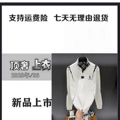 2025秋季新款轻奢新款亲肤刺绣立领卫衣男长袖轻奢商务秋季muji风
