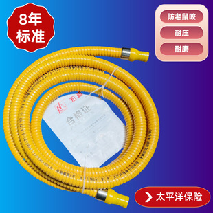 Gas pipe household gas pipe hose natural gas liquefied gas gas stove special metal bellows low pressure armor