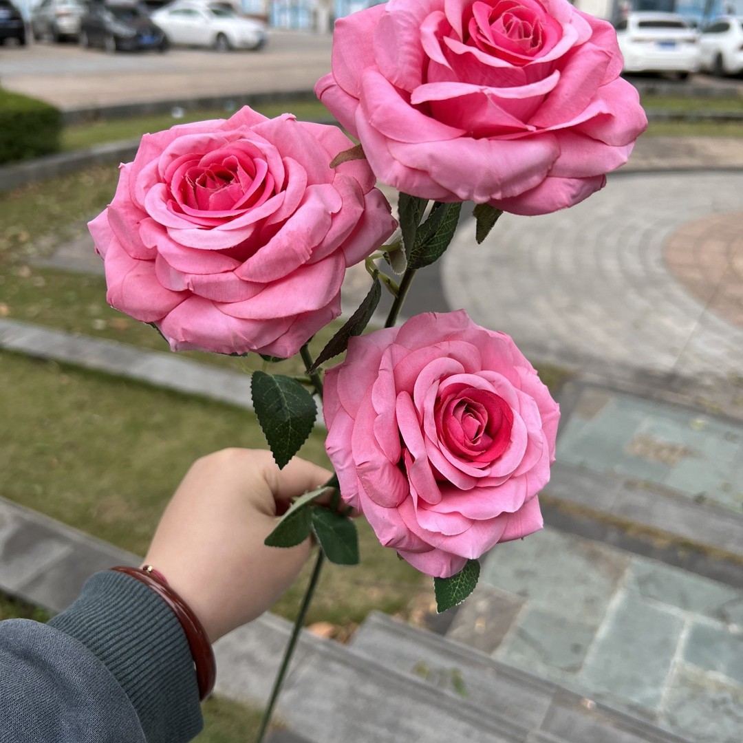 3-cabeza curling Rose Red