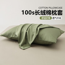 100s½Lqȫһb2025¿^оđ