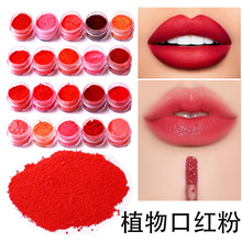 �F؛16ɫ1g�ڼt��DIY��Ȼֲ��ԭɫ��Lipstick��āԭ��powder