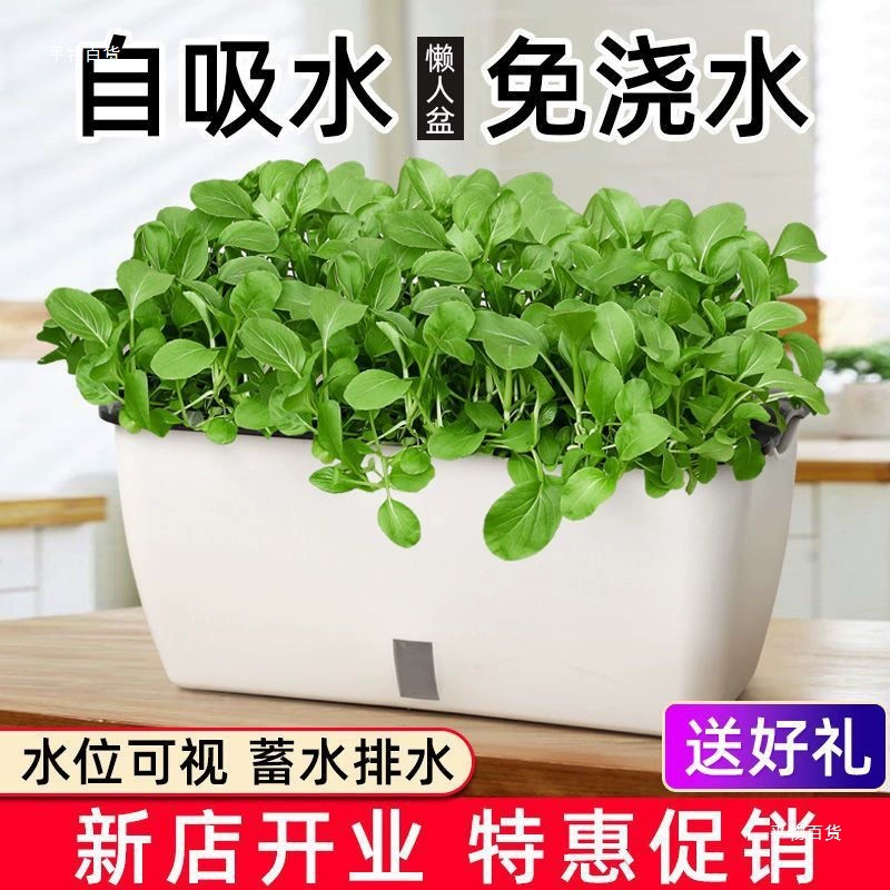 Автоматический водопоглощающий балконный овощной горшок Волшебный инструмент Ленивый цветочный горшок Семейный прямоугольный горшок Зеленая редька Растение в горшке Модный прочный.