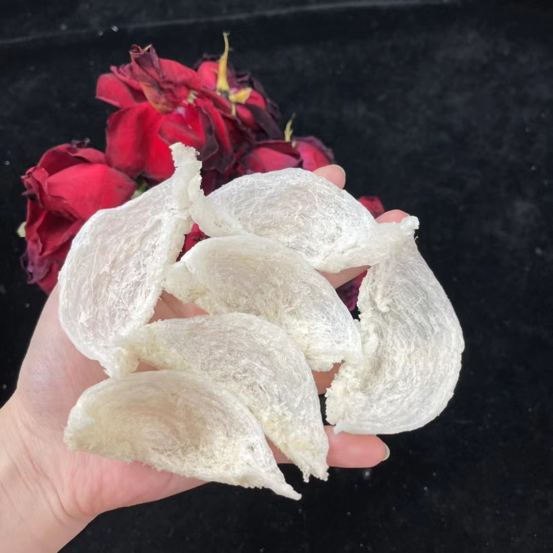 반건조 4A 작은 제비 램프 (30g부터)