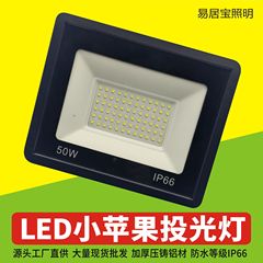 厂家直销led小苹果投光灯广场公园桥梁户外灯庭院别墅led投光灯
