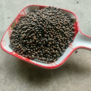 Ӣ��ș�I�S��ֱ�� �S�G�Ѳ��@���S�G�Ӳ��@���S����ɳ��ș�����l