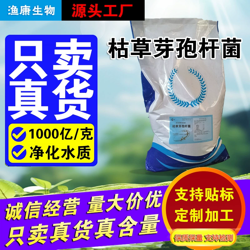 100 миллиардов Bacillus subtilis полностью водорастворимый Bacillus subtilis аквакультура животноводство сельское хозяйство 200 миллиардов