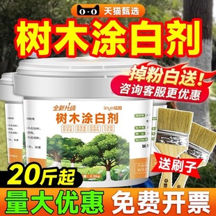 ��ɘ�ľ�T�ׄ����x�����������o����@��ˢ��ֲ���������ʯ�ҷ�