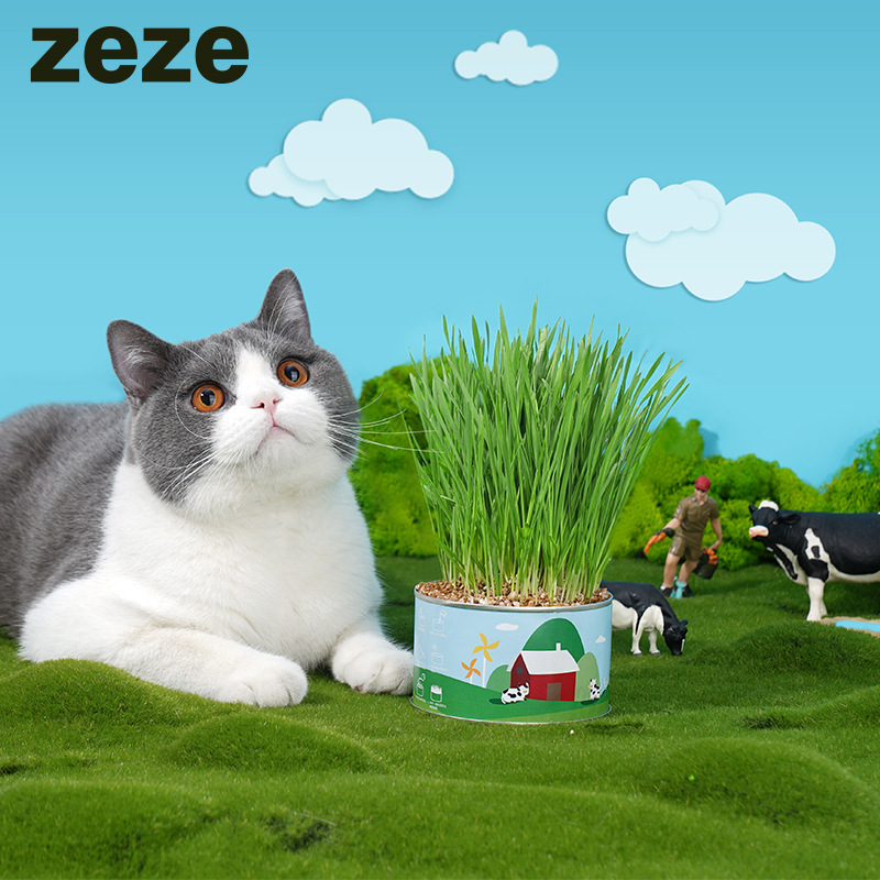 Zeze Cat Grass Canned Catnip Cat Snacks Hair Removal Seeds Hydroponic Potted Seeds Cat Hair Removal Supplies