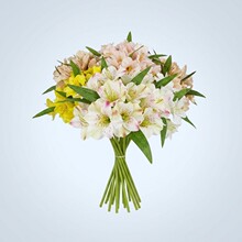 �羳���x���Sֱ�l���^������ ���滨�׹ܼٻ��� ��Y�Ҿӈ�������