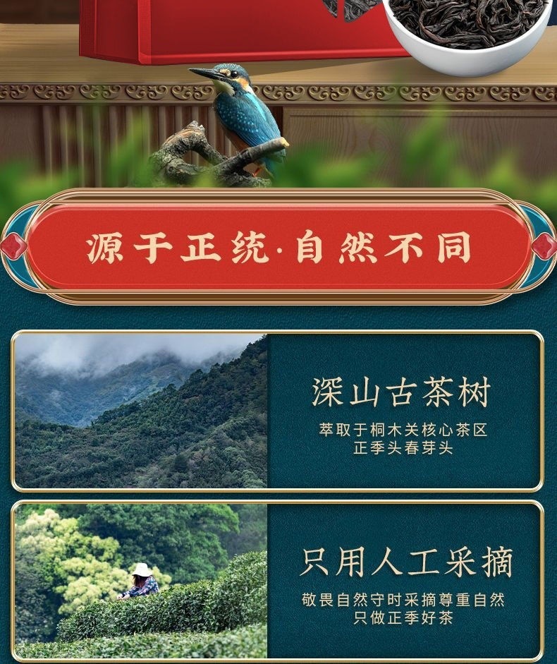 c0f828de-0d1a-47d6-a23d-23f01e0e408e.jpe