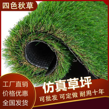 �����ƺ�����ƺ��ɫ��ݷ¿ݲݲݵط����b�䁵ؾG��Ƥ�ٲ�Ƥ