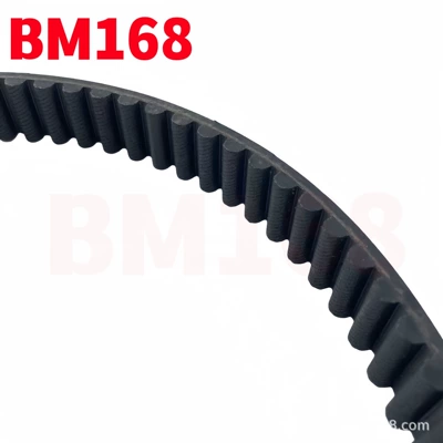 12-16 years rear – Belt
