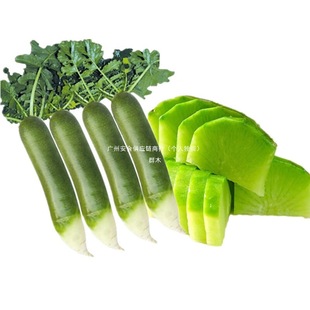 �H���}��ˮ���}�����ˮ���͞H�hɳ�C���}��10�����r�����������