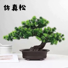 �ɘ� �辰������ӭ���ɿ͏d�[���b�Ʒ�٘�ٻ����Ͻqֲ��